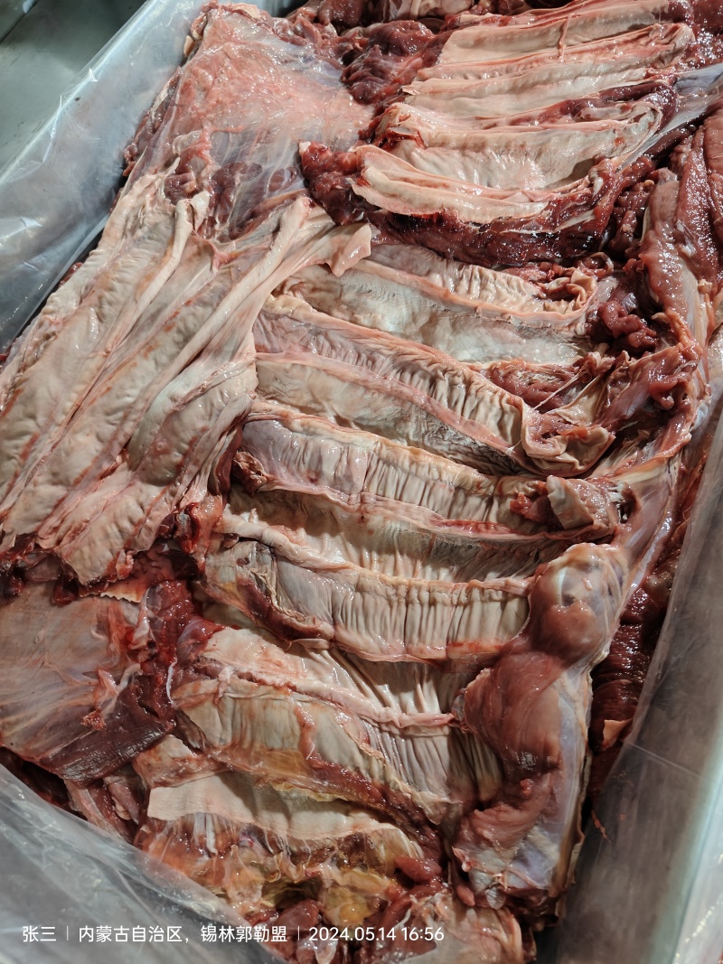 牛肉生牛肉鲜牛肉冷冻牛肉冷鲜肉牛全牛肉通货，