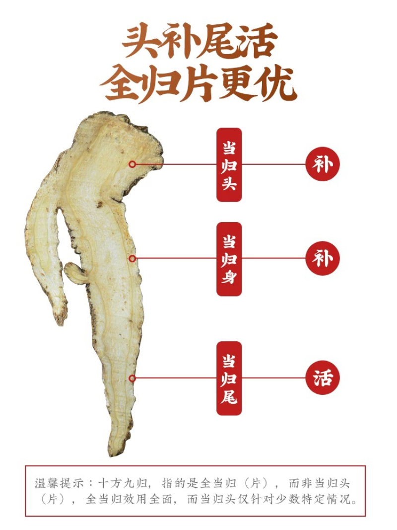 甘肃无硫当归个正宗岷县当归片当归头同黄芪党参中药材