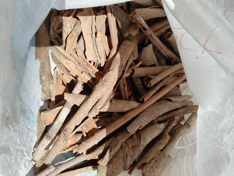 广西桂皮碎桂桂碎香料干货