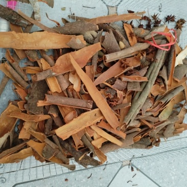 广西桂皮碎桂桂碎香料干货