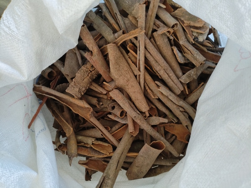 广西桂皮碎桂桂碎香料干货
