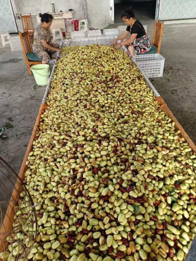 贵妃枣特级