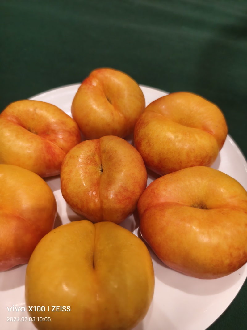 山东油蟠桃品质保证欢迎咨询合作对接电商市场等客户