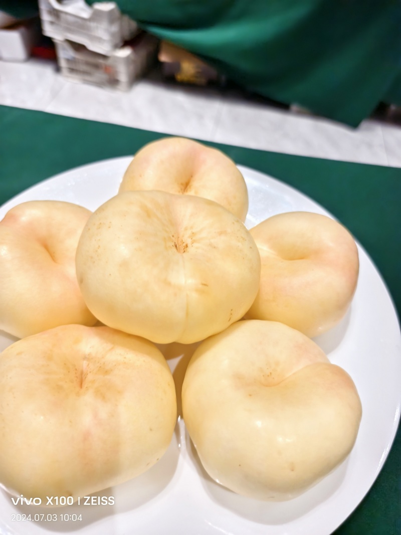 山东油蟠桃品质保证欢迎咨询合作对接电商市场等客户