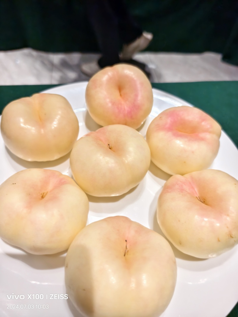 山东油蟠桃品质保证欢迎咨询合作对接电商市场等客户