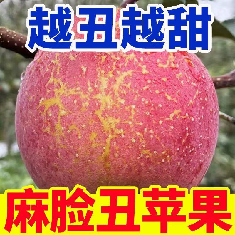 四川省，大凉山，盐源县，苹果皮薄肉质嘎嘣脆糖心满满汁水充