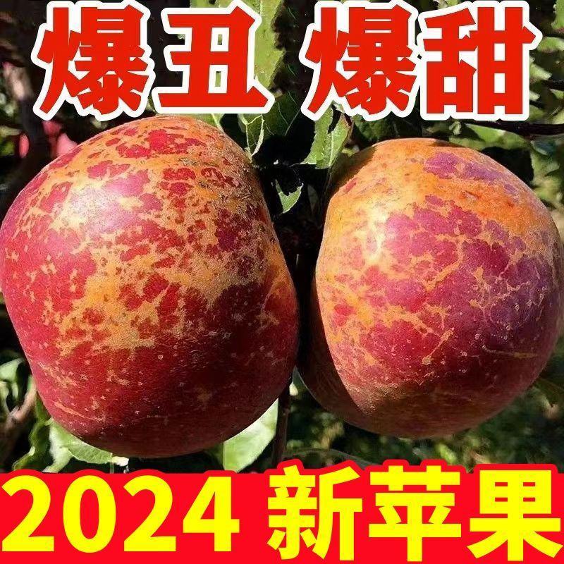 四川省，大凉山，盐源县，苹果皮薄肉质嘎嘣脆糖心满满汁水充