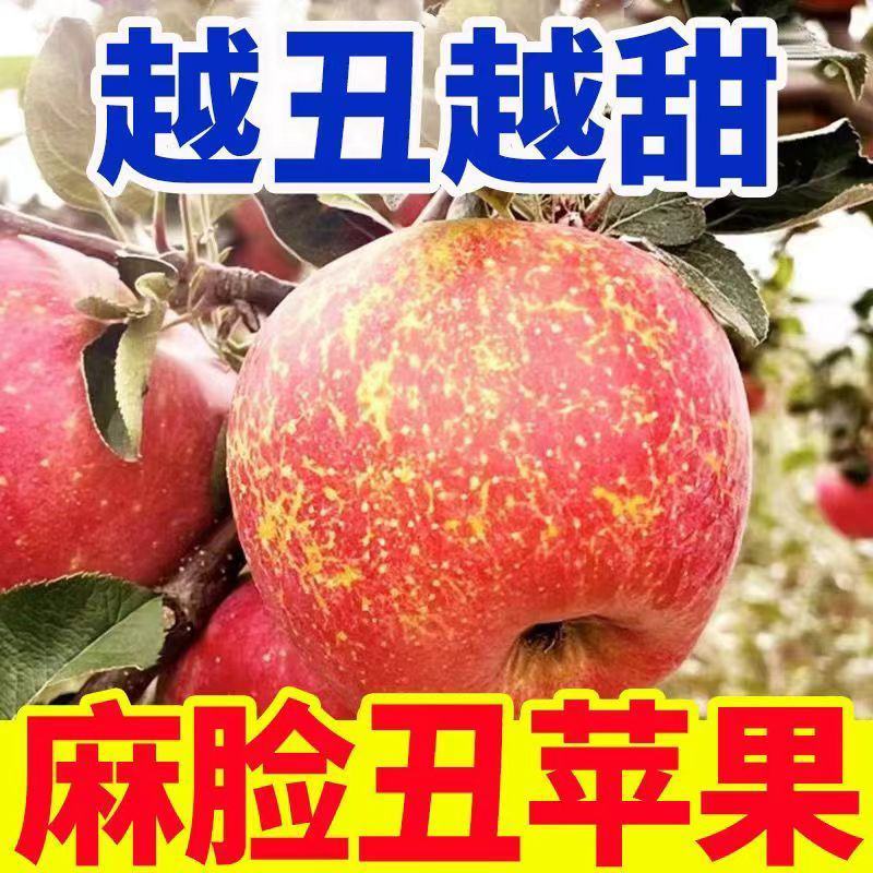 四川省，大凉山，盐源县，苹果皮薄肉质嘎嘣脆糖心满满汁水充