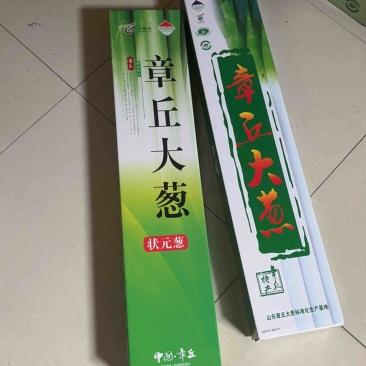 大葱章丘大葱高白脆甜礼盒装规格齐全现挖现发一手货源