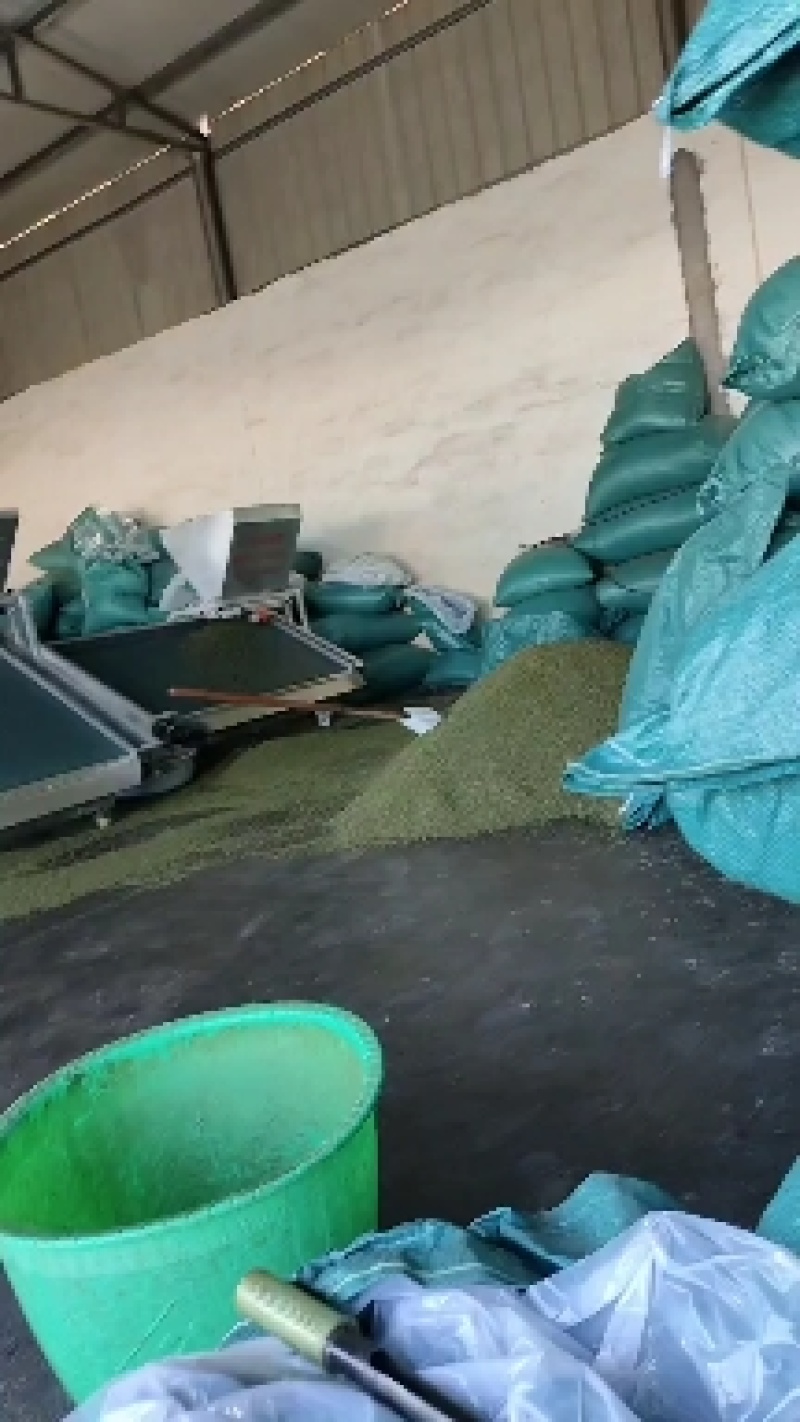 竹荪产地直销一手货源
