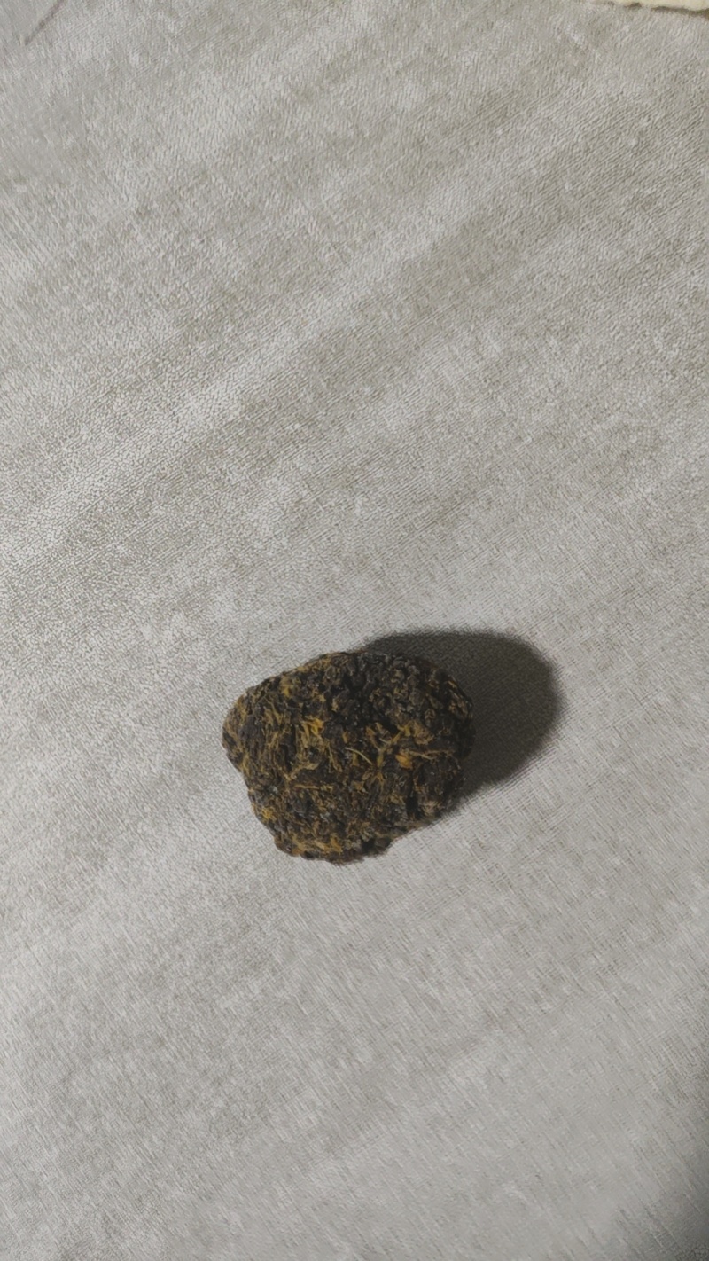 羊结石