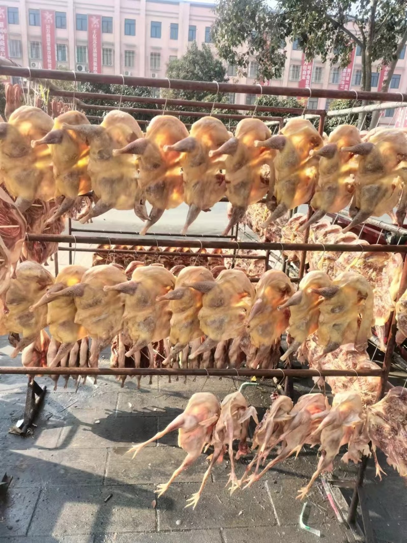 湖北特色风干鸡品质保证自然风干欢迎老板来电下单
