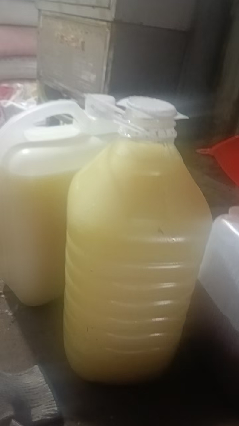 品质纯正传统工艺压榨花生油自有加工设备按需包装
