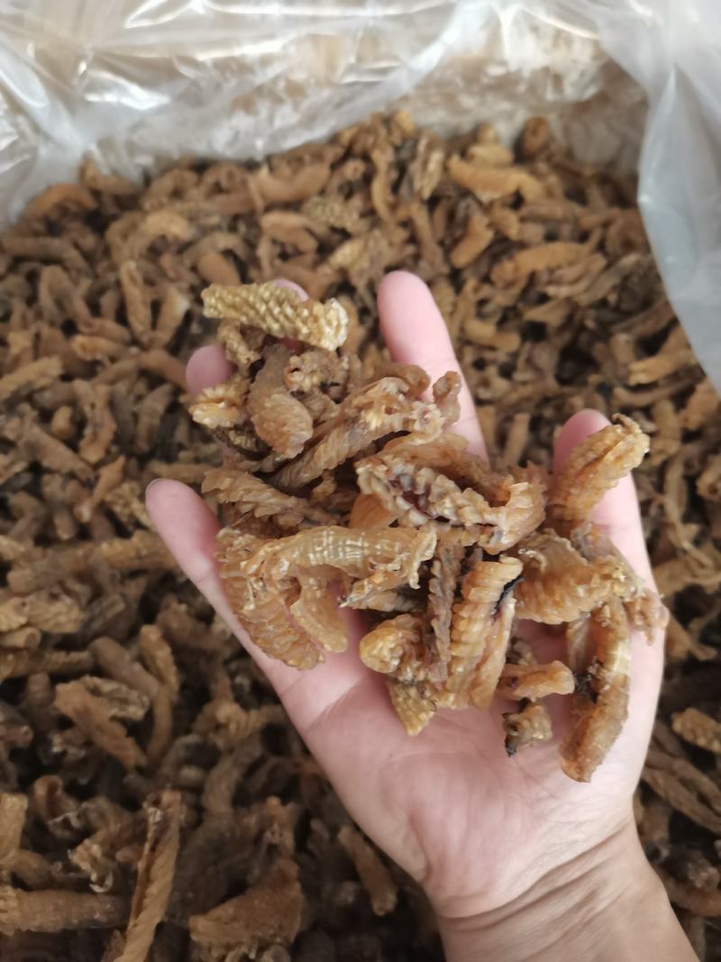 毛虫花鱿鱼制品干鱿鱼高涨发成色好