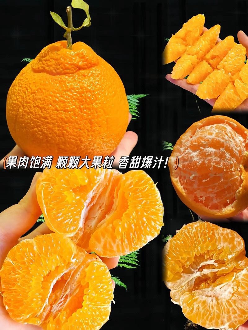 正宗四川春见耙耙柑，果瓤薄如蝉翼，果肉粒粒爆汁。