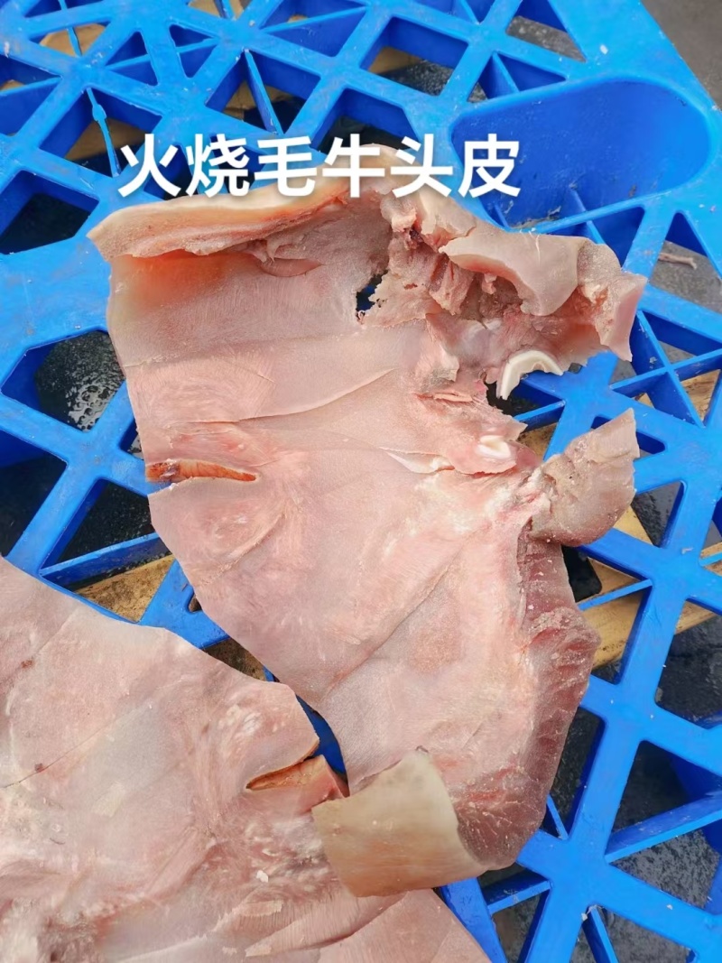 牛皮冷冻牛脸皮牛肉炒牛皮凉拌牛头皮牛脸