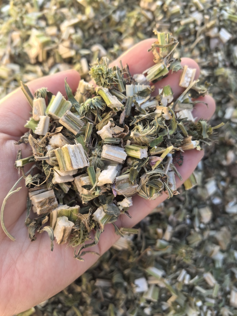 益母草坤草新货山东产地货源大货供应七彩百草中药材批发