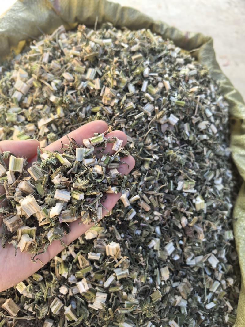 益母草坤草新货山东产地货源大货供应七彩百草中药材批发