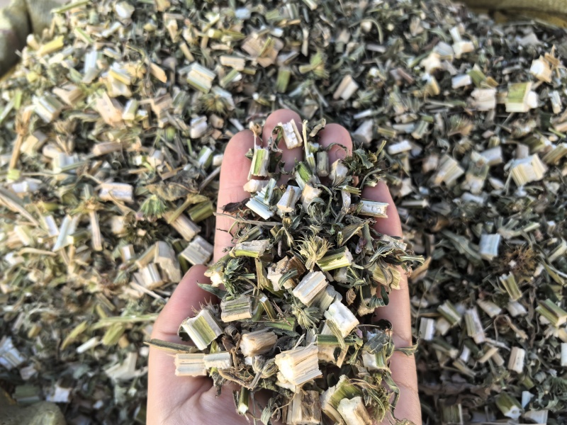 益母草坤草新货山东产地货源大货供应七彩百草中药材批发