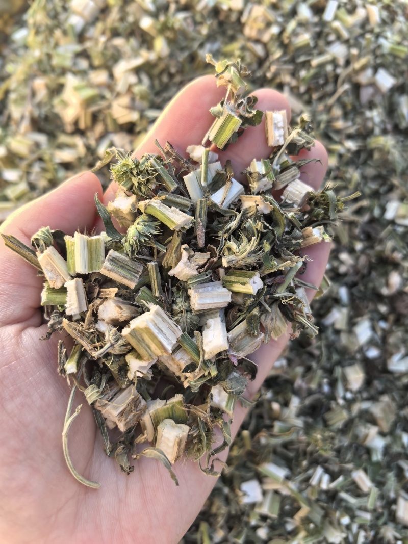 益母草坤草新货山东产地货源大货供应七彩百草中药材批发