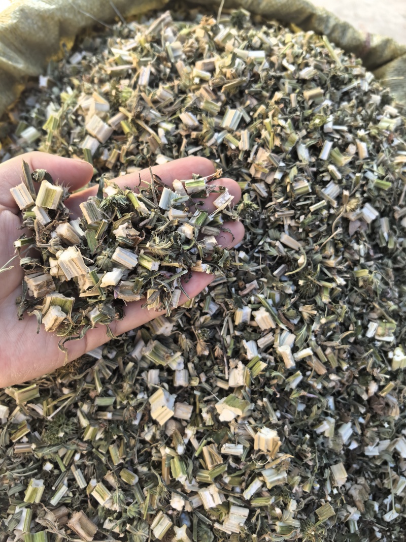 益母草坤草新货山东产地货源大货供应七彩百草中药材批发