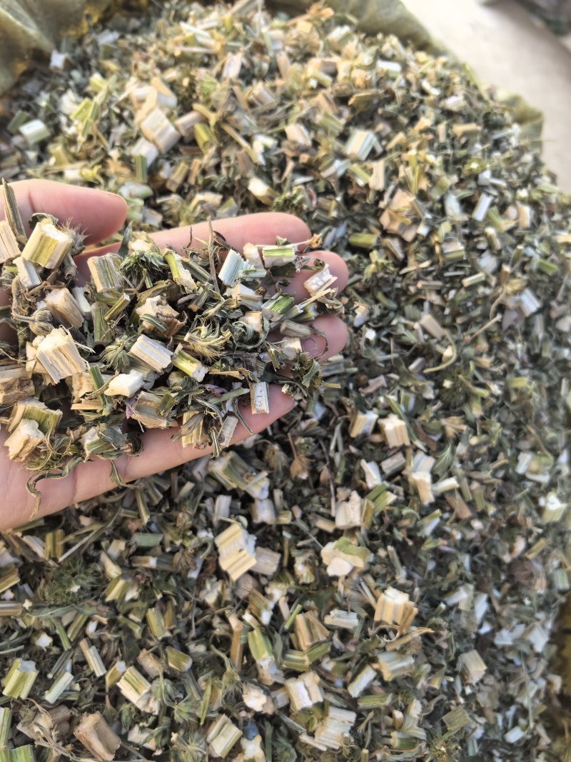 益母草坤草新货山东产地货源大货供应七彩百草中药材批发