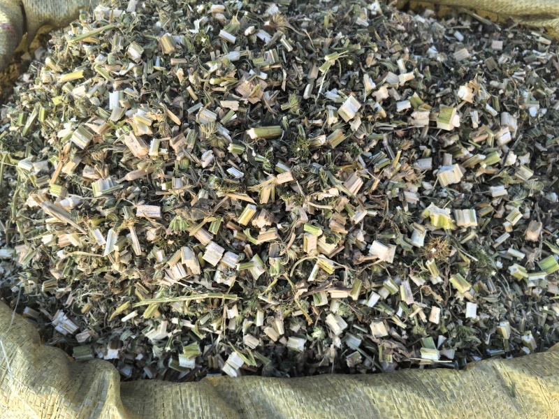 益母草坤草新货山东产地货源大货供应七彩百草中药材批发