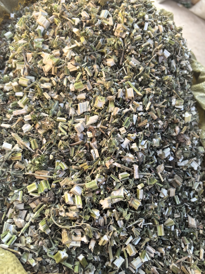益母草坤草新货山东产地货源大货供应七彩百草中药材批发