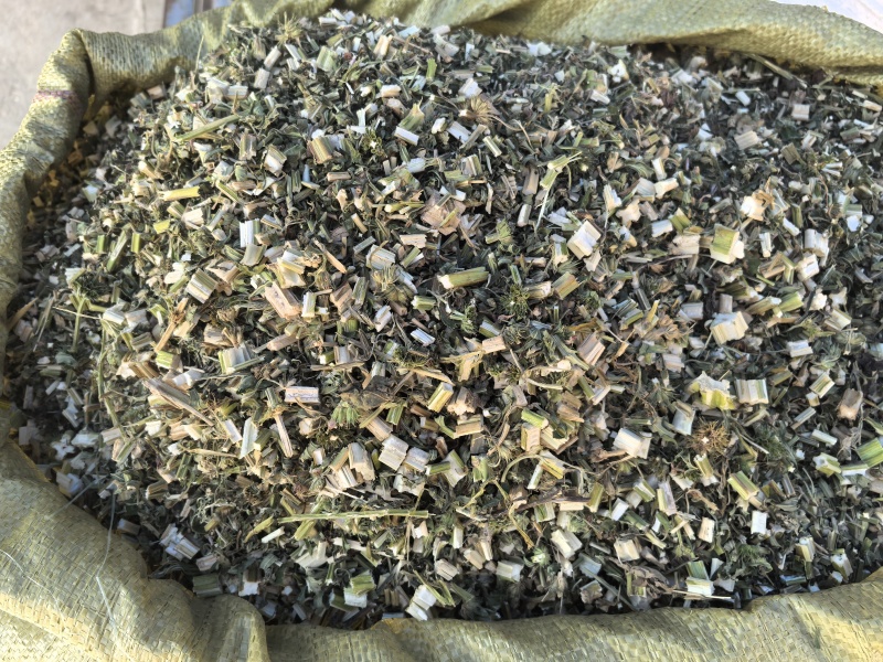 益母草坤草新货山东产地货源大货供应七彩百草中药材批发