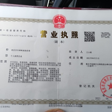 纯羊粪蛋子