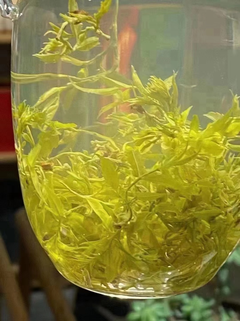 精品野生藤茶质量保证量大优惠欢迎老板来电咨询