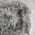 精品野生藤茶质量保证量大优惠欢迎老板来电咨询