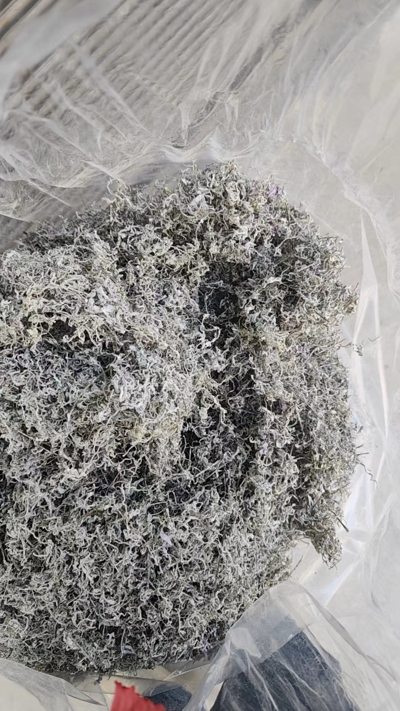 精品野生藤茶质量保证量大优惠欢迎老板来电咨询