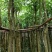 盆架子