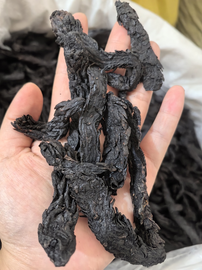 肉苁蓉软大云多种规格供应七彩百草中药材批发