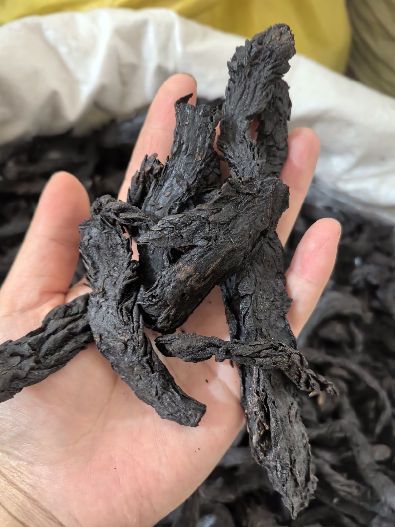 肉苁蓉软大云多种规格供应七彩百草中药材批发