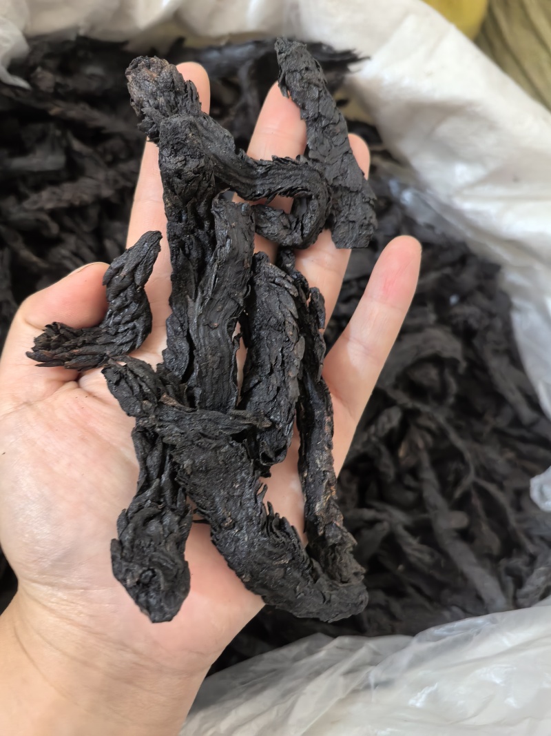肉苁蓉软大云多种规格供应七彩百草中药材批发
