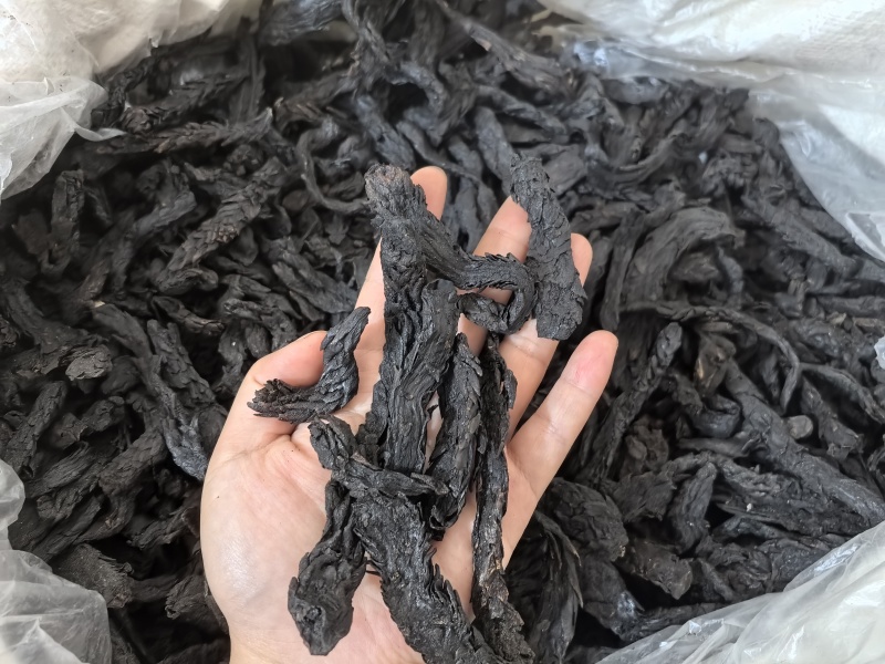 肉苁蓉软大云多种规格供应七彩百草中药材批发