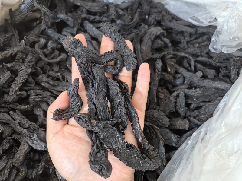肉苁蓉软大云多种规格供应七彩百草中药材批发