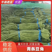 山东豆角青条长豆角产地直发一手货源，量大从优价格美丽