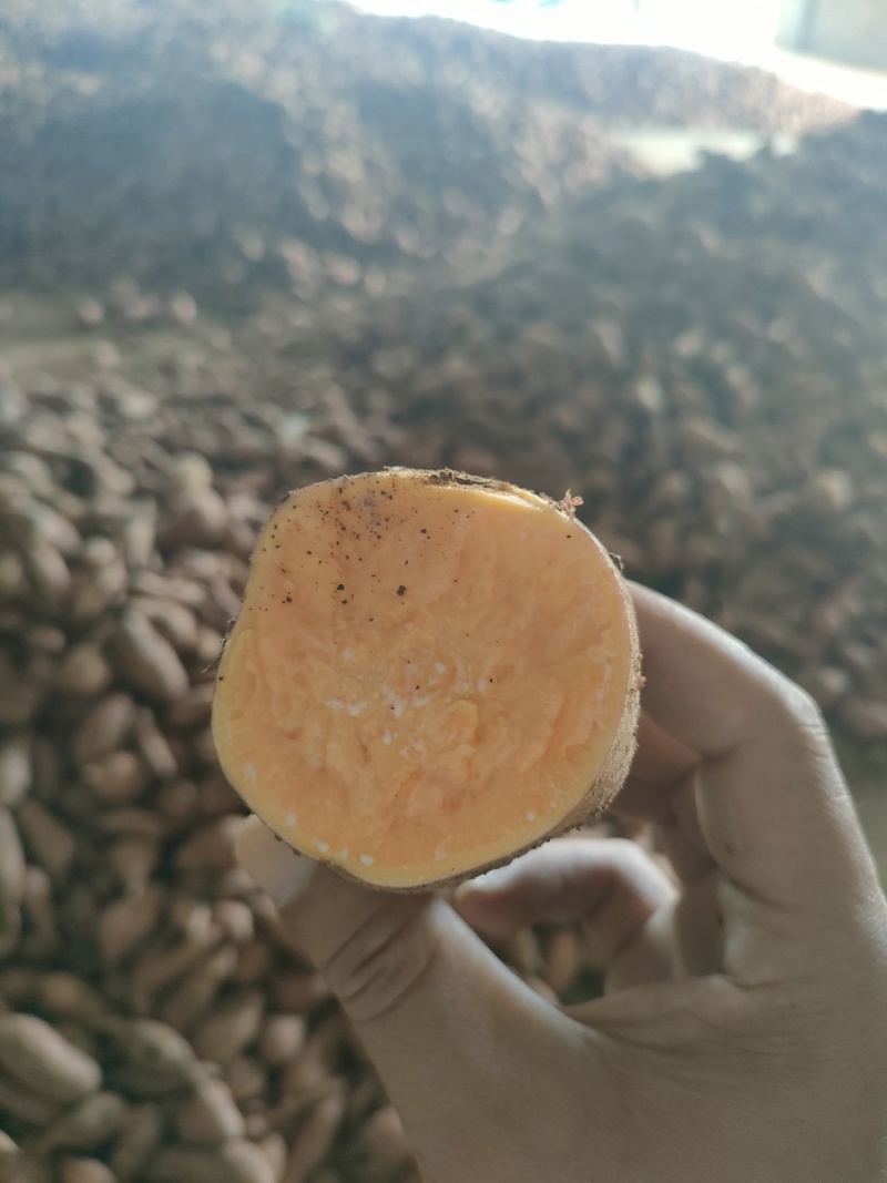 精选优质龙九红薯，大量上市支持各种规格，对应市场电商工厂