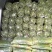 精品韭苔大量有货需要可以联系，质量**，品质保证，