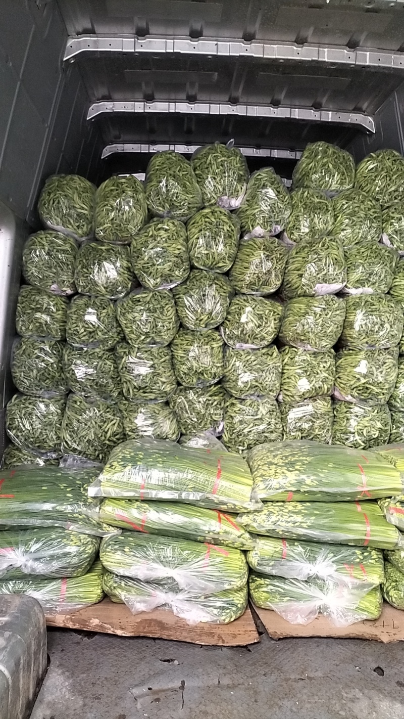 精品韭苔大量有货需要可以联系，质量**，品质保证，
