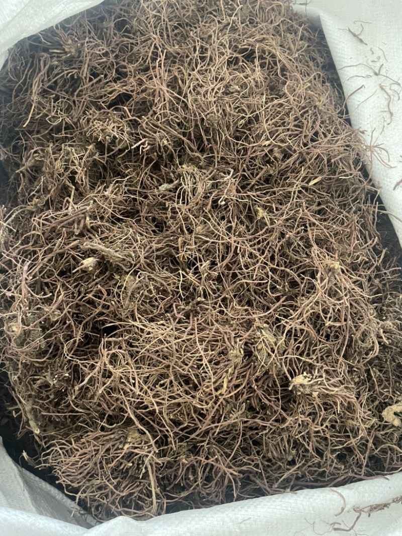 水洗紫菀切片干货精品全国发货可视频看货
