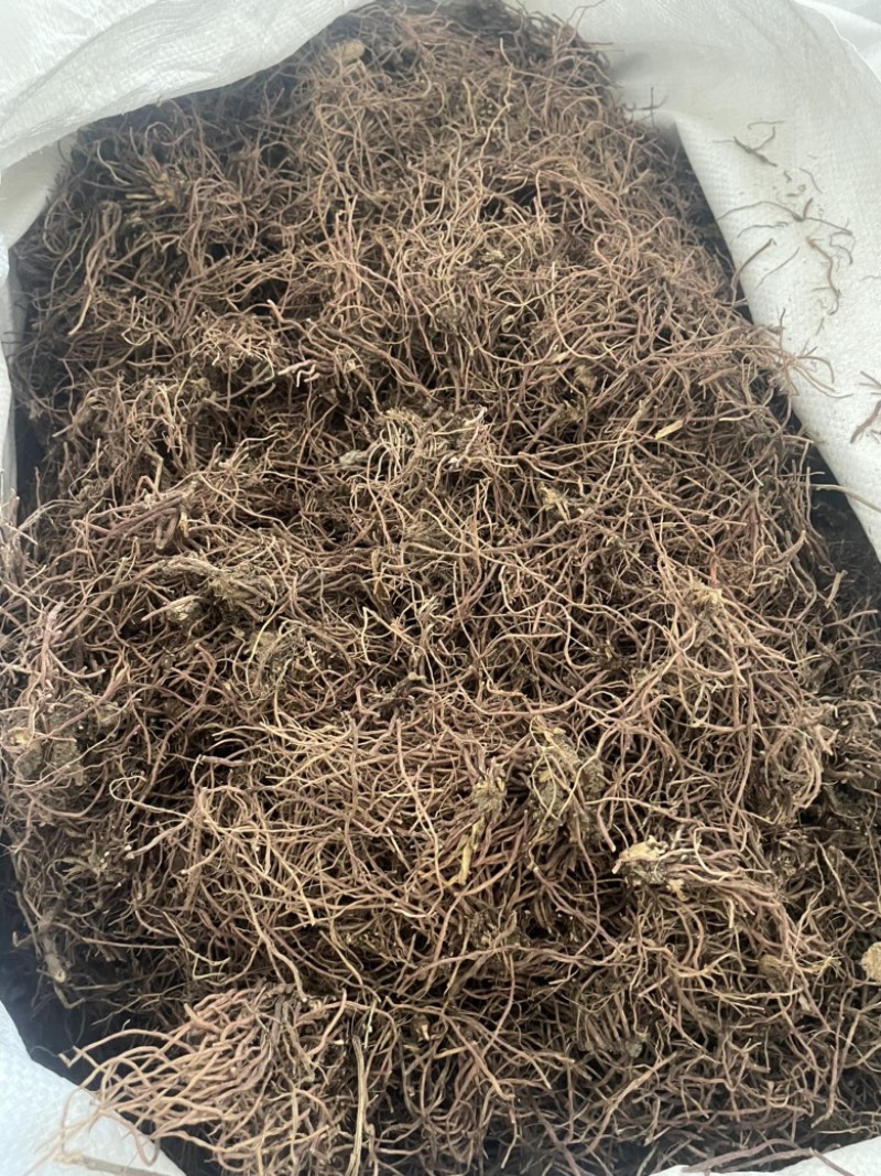 水洗紫菀切片干货精品全国发货可视频看货