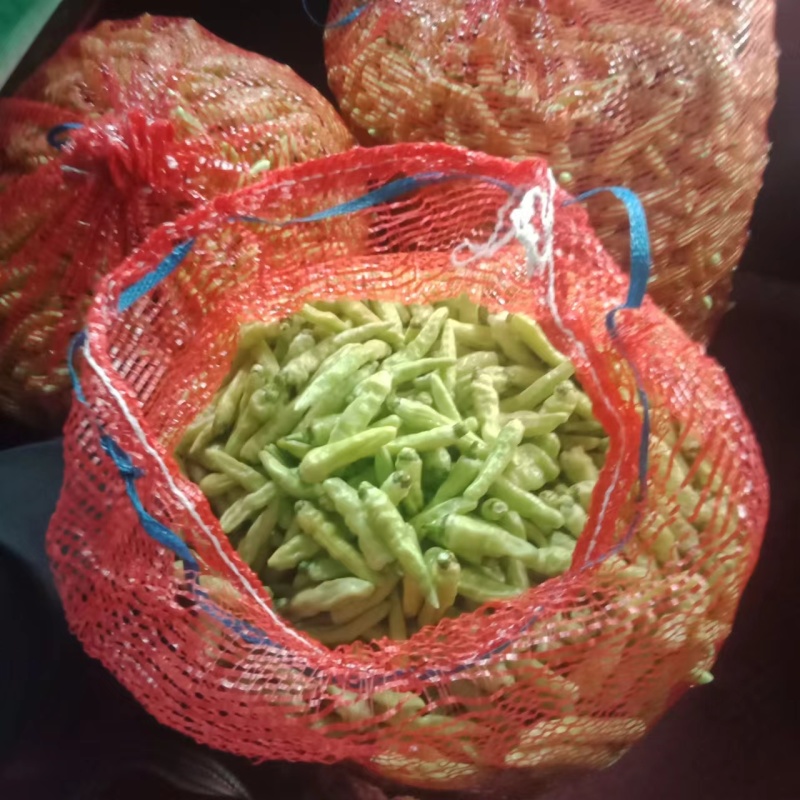 白米椒