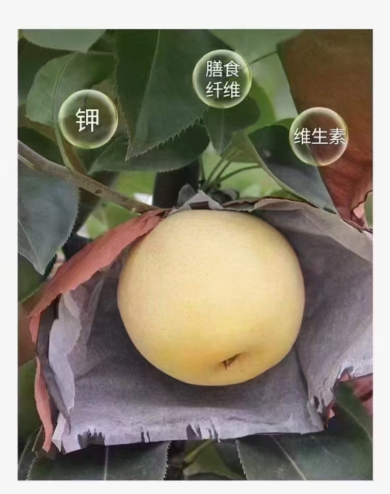诚招社区团购，抖音直播