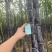云南甘蔗黑皮甘蔗大量上市，货源充足！对接全国市场电商
