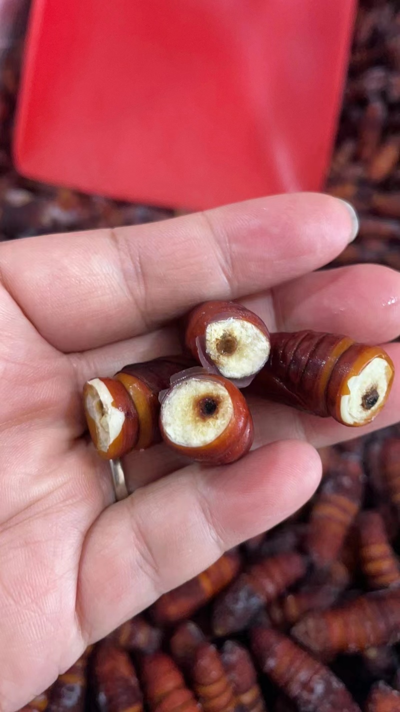 松蛹，松毛蛹，松虎蛹，松树蛹，蚕蛹，大蛹，核桃蛹