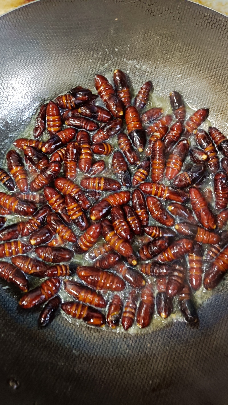 松虎蛹松蛹核桃蛹核桃虫松虎蛹子高蛋白低脂肪食用昆虫油炸